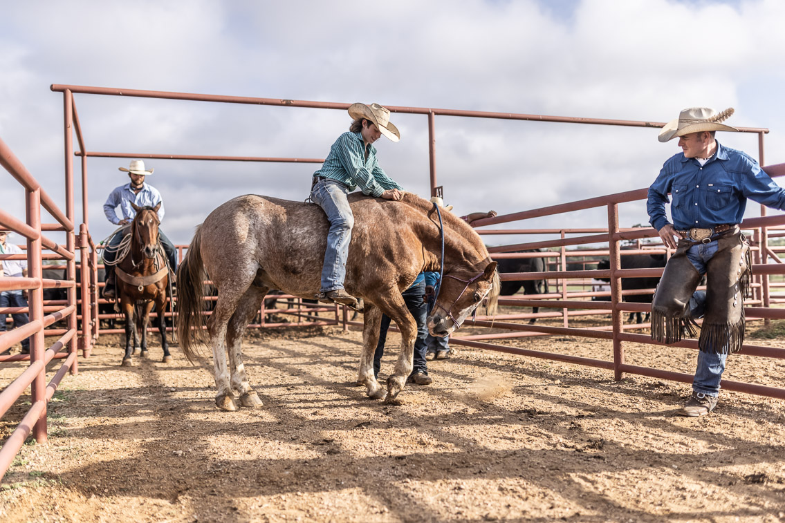 44Farms_Cameron_FallBullSale_Oct2021-525654