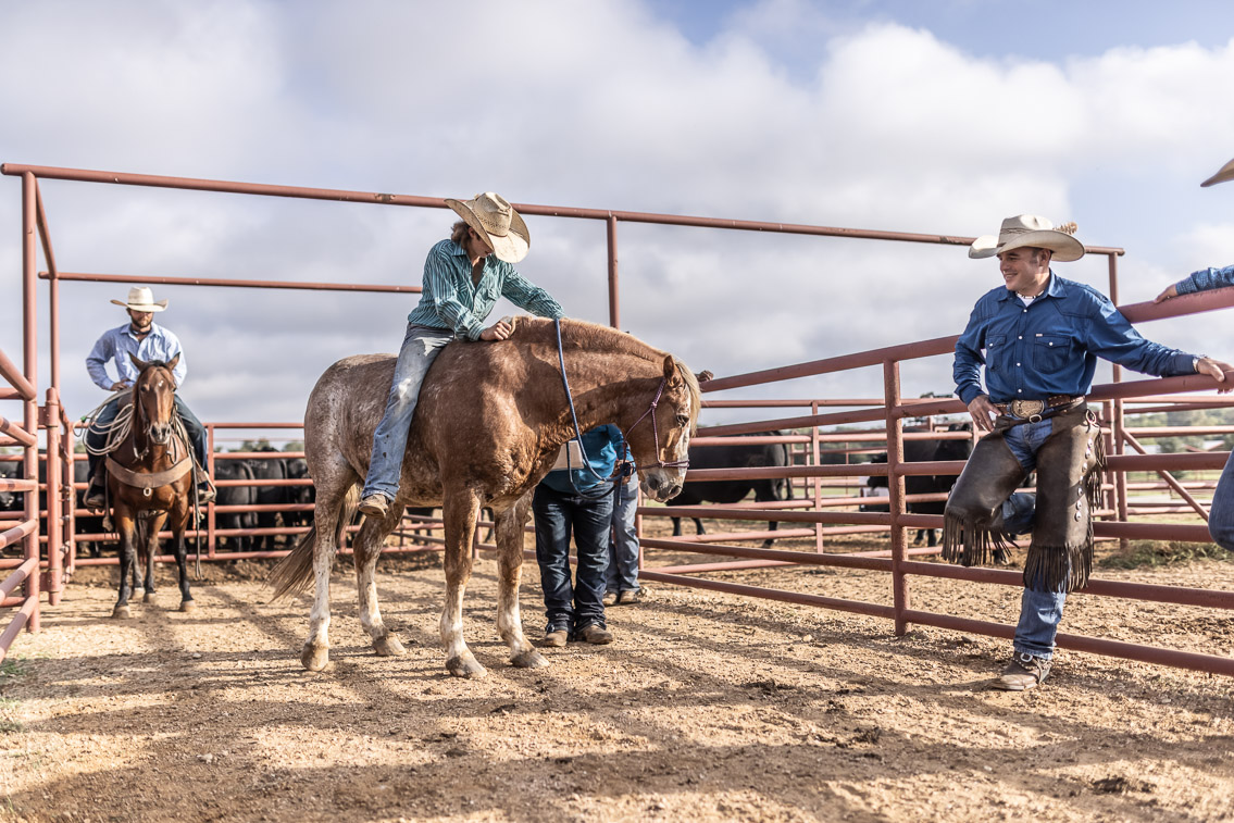 44Farms_Cameron_FallBullSale_Oct2021-525656