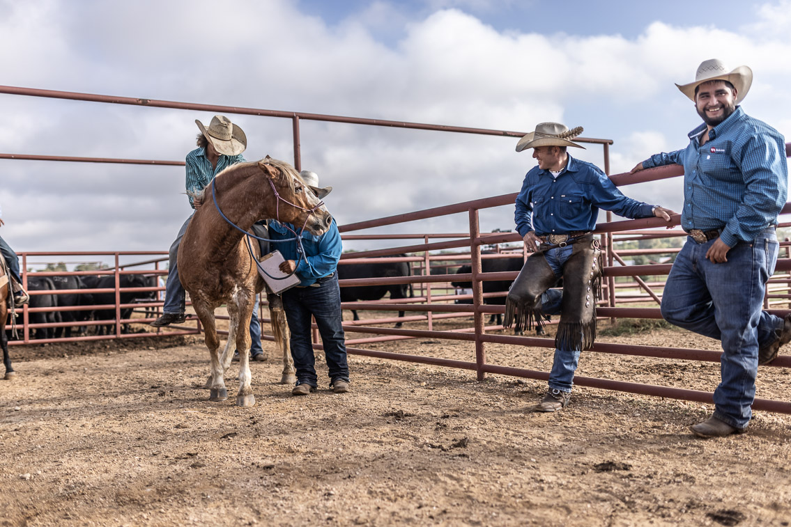 44Farms_Cameron_FallBullSale_Oct2021-525664