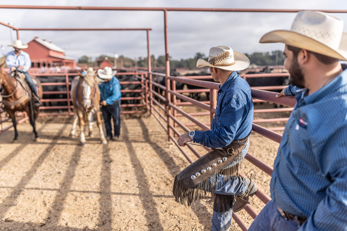 44Farms_Cameron_FallBullSale_Oct2021-525698