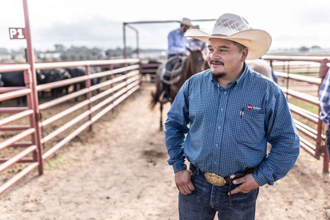 44Farms_Cameron_FallBullSale_Oct2021-525716