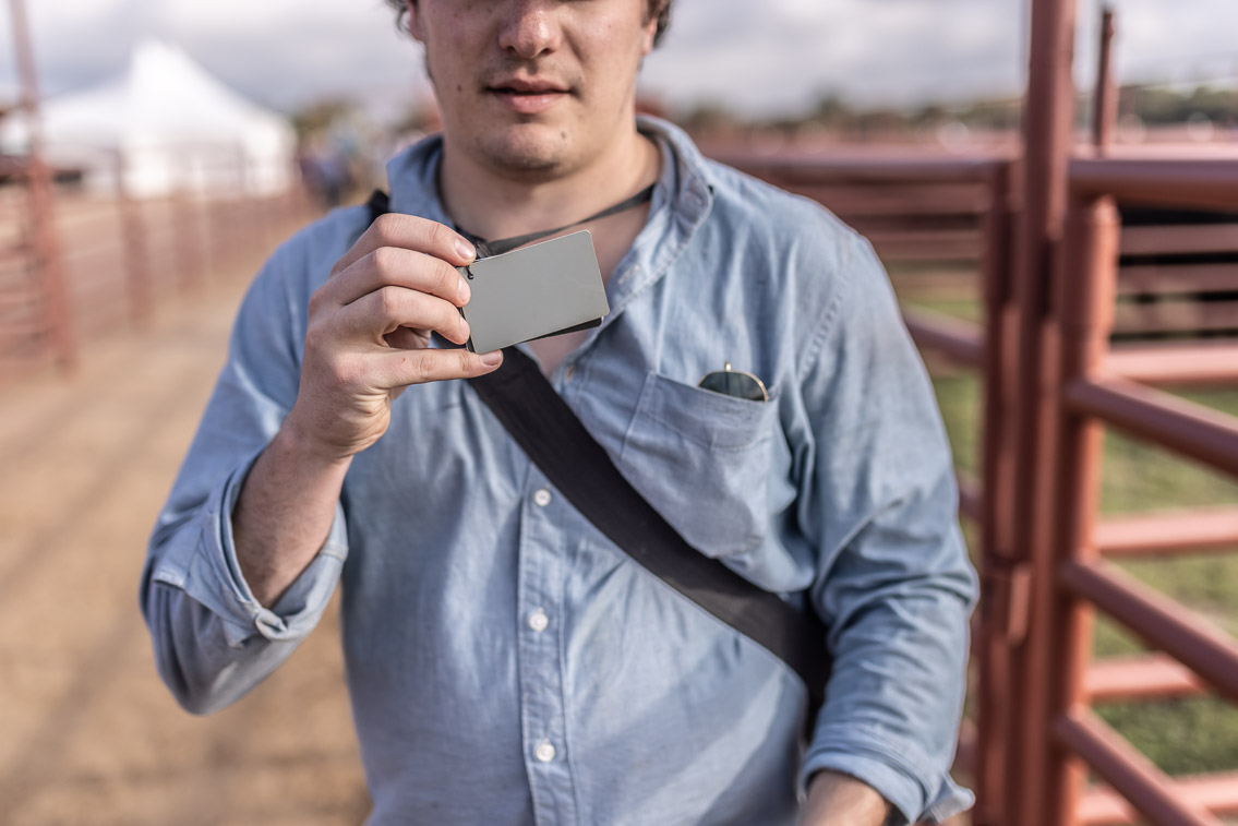 44Farms_Cameron_FallBullSale_Oct2021-525743