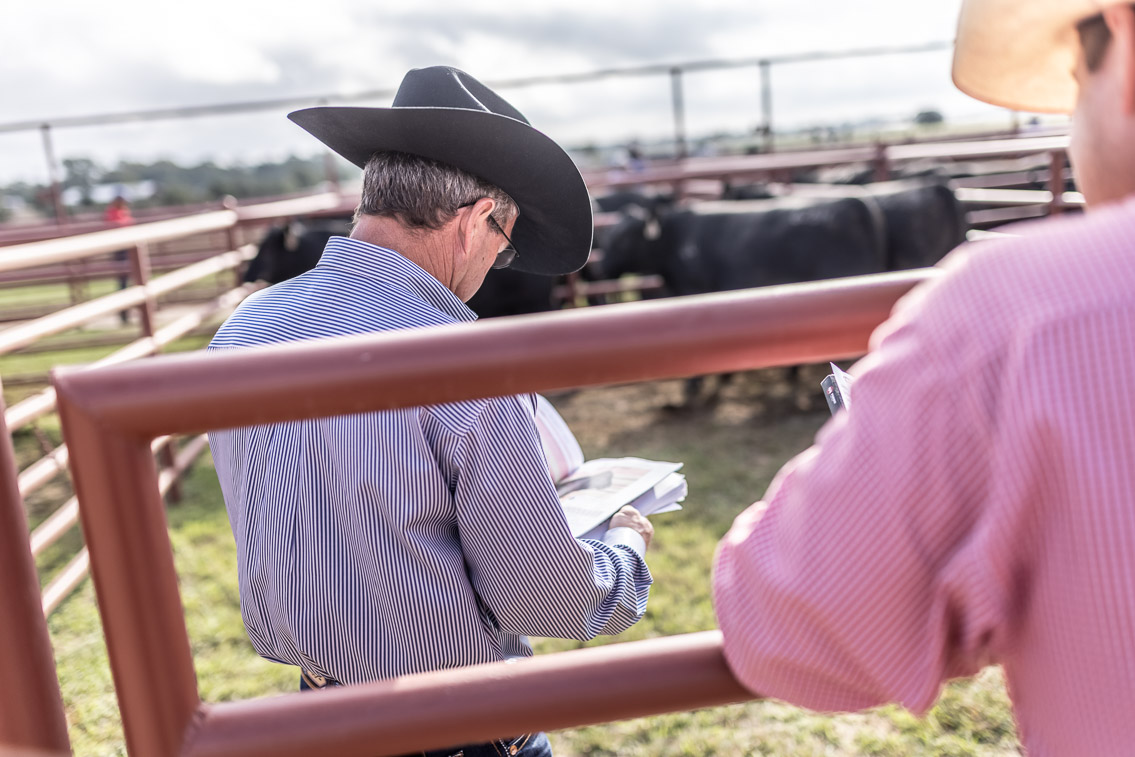 44Farms_Cameron_FallBullSale_Oct2021-525744