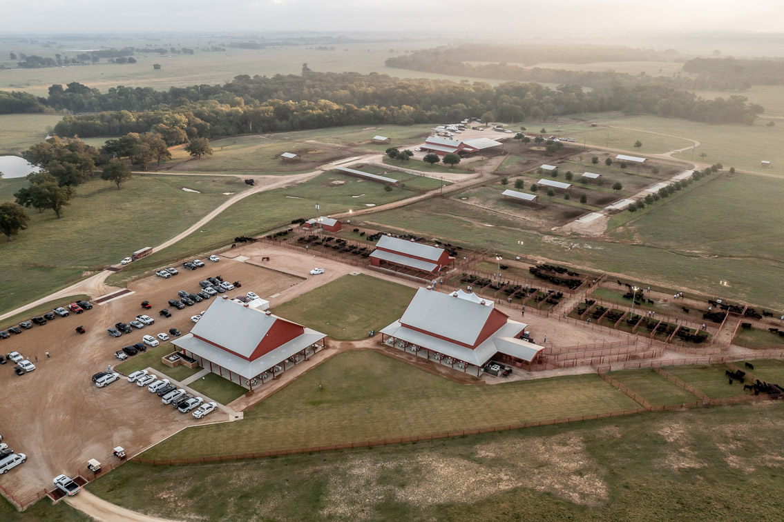 44Farms_Cameron_FallBullSale_Oct2021-0362