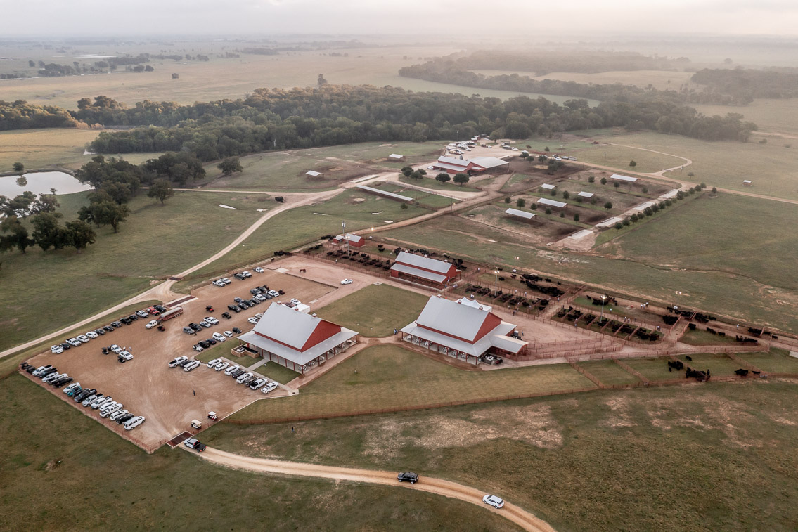 44Farms_Cameron_FallBullSale_Oct2021-0368
