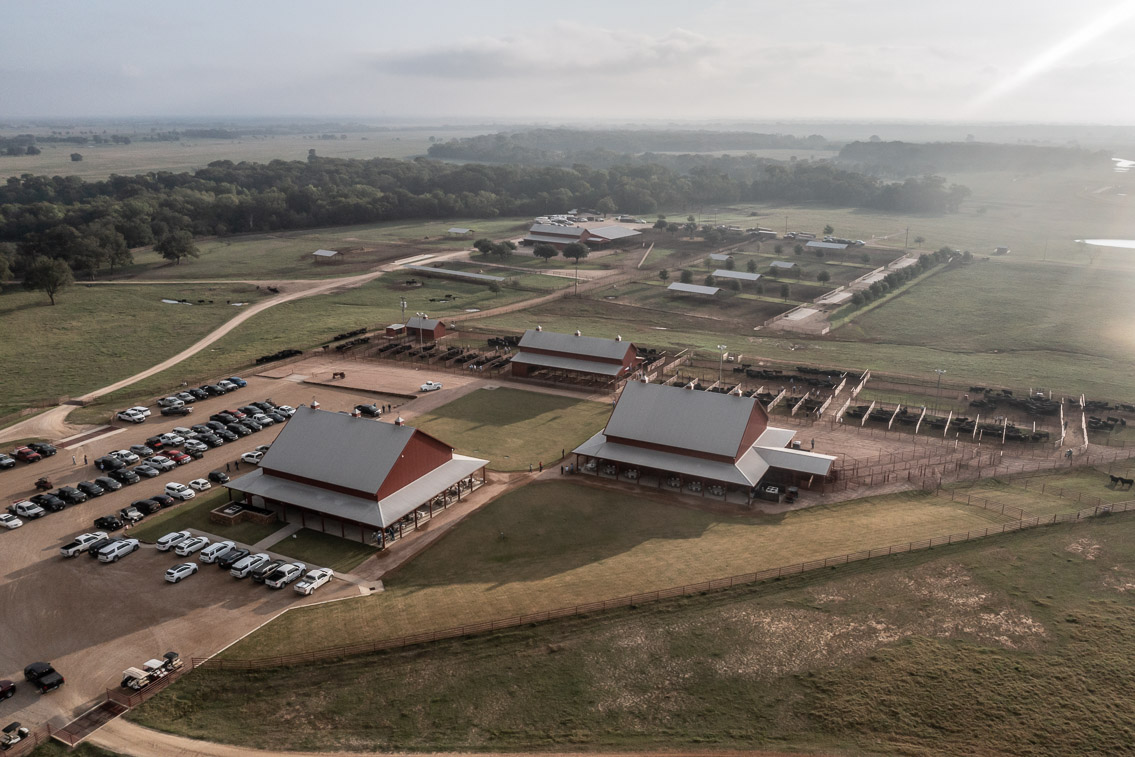 44Farms_Cameron_FallBullSale_Oct2021-0413