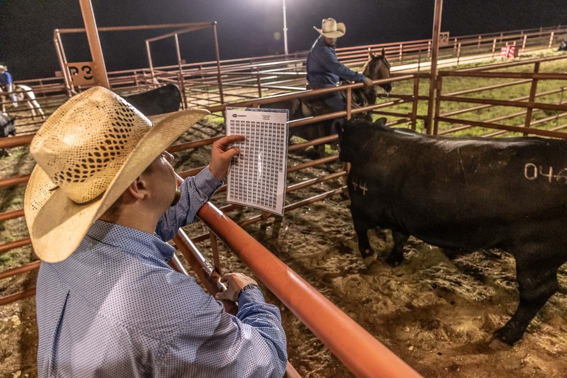 44Farms_Cameron_FallBullSale_Oct2021-524152