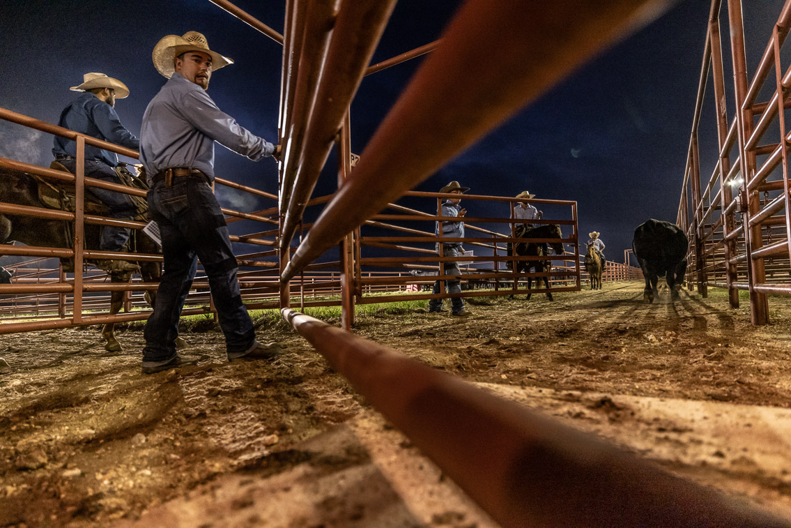 44Farms_Cameron_FallBullSale_Oct2021-524577