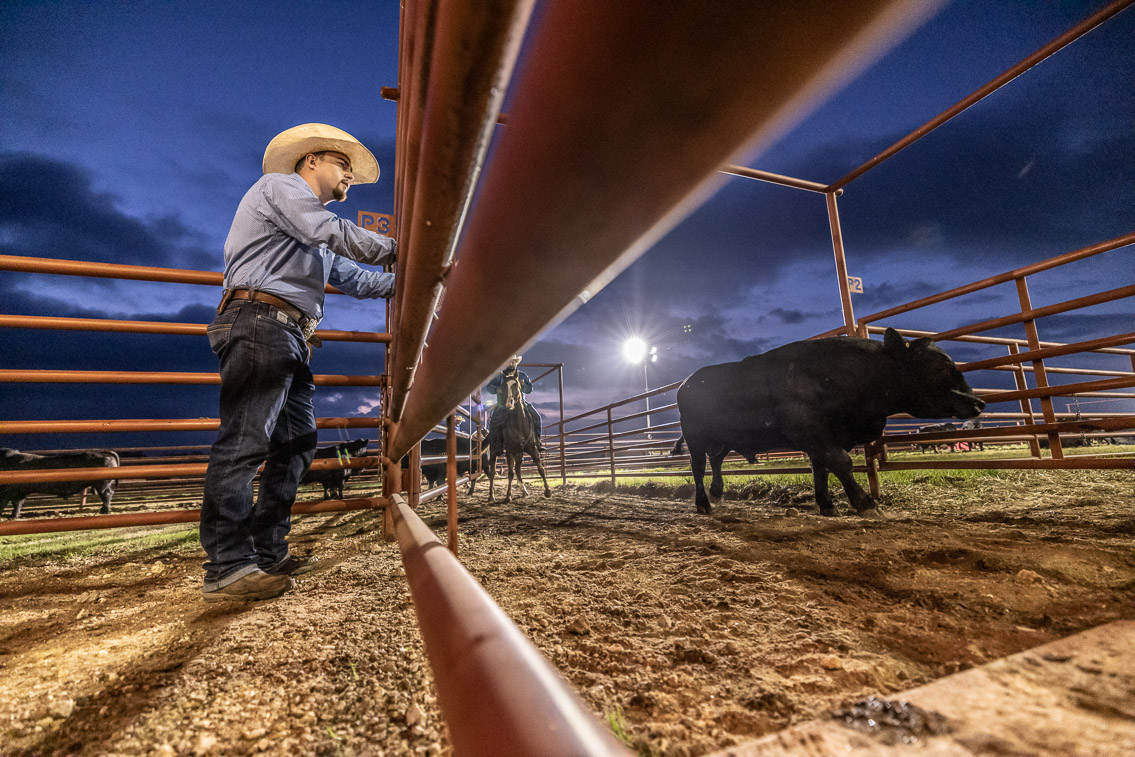 44Farms_Cameron_FallBullSale_Oct2021-524701