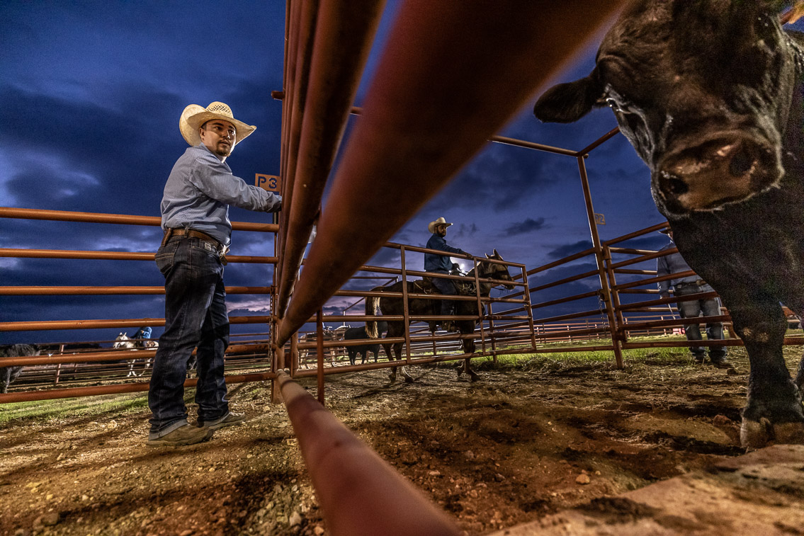 44Farms_Cameron_FallBullSale_Oct2021-524779