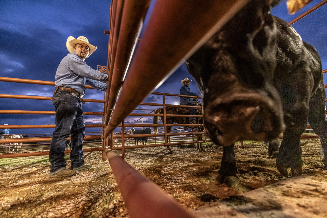 44Farms_Cameron_FallBullSale_Oct2021-524790
