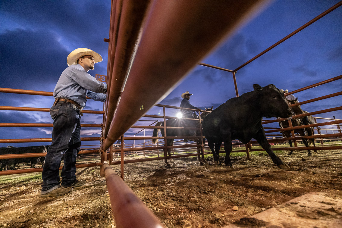 44Farms_Cameron_FallBullSale_Oct2021-524899