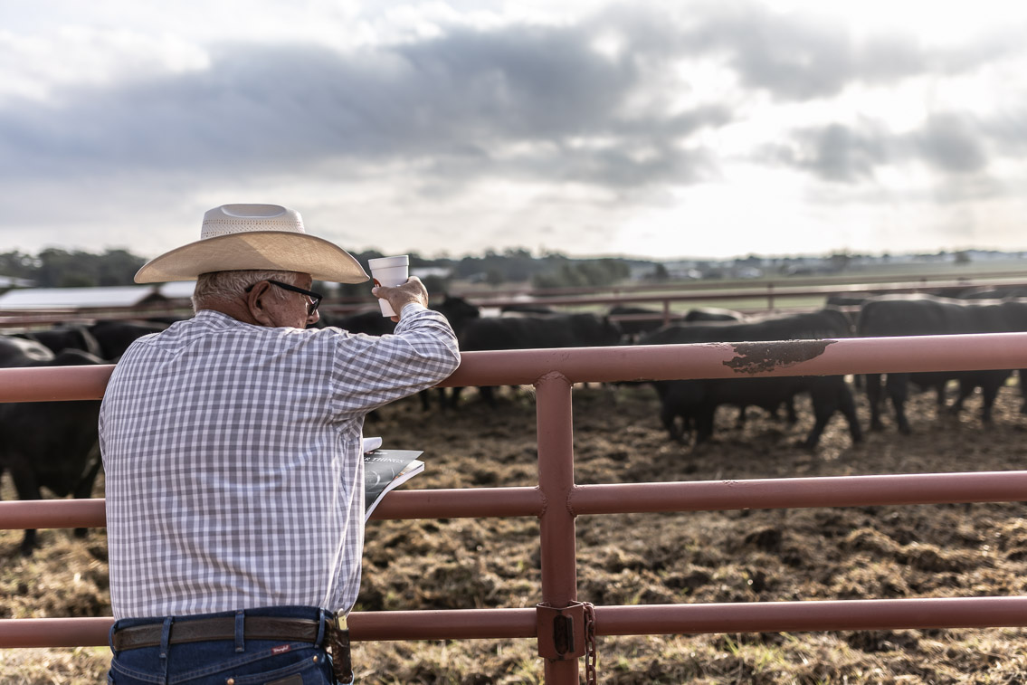 44Farms_Cameron_FallBullSale_Oct2021-525067