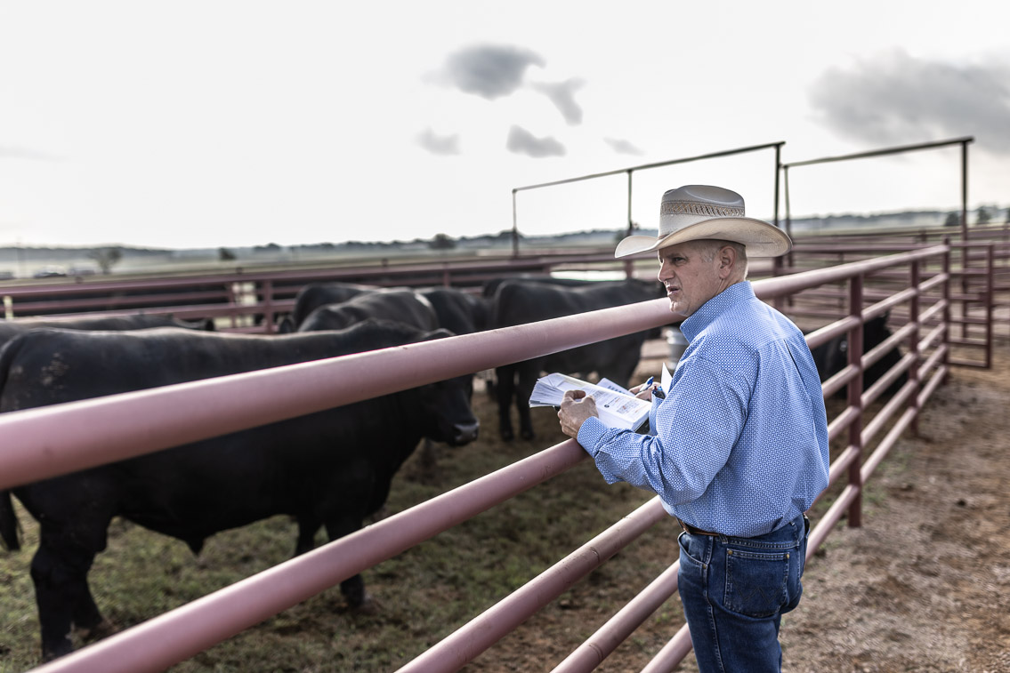 44Farms_Cameron_FallBullSale_Oct2021-525117