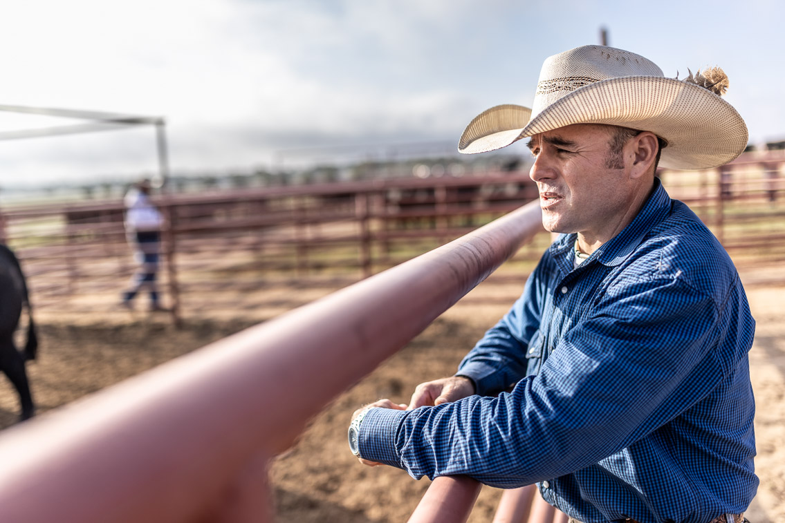 44Farms_Cameron_FallBullSale_Oct2021-525310