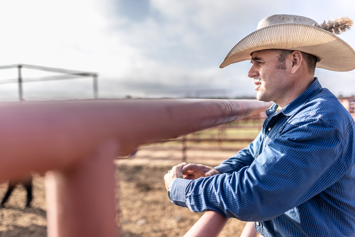 44Farms_Cameron_FallBullSale_Oct2021-525318