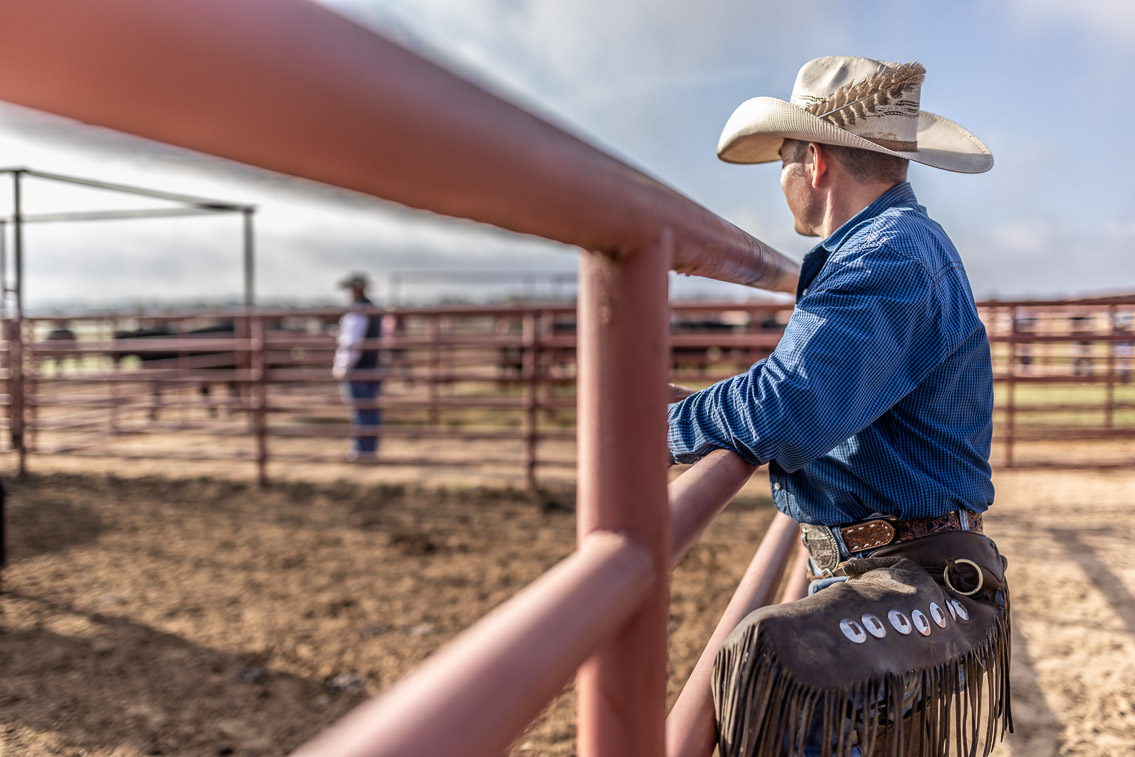 44Farms_Cameron_FallBullSale_Oct2021-525320