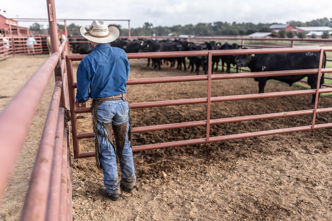 44Farms_Cameron_FallBullSale_Oct2021-525425