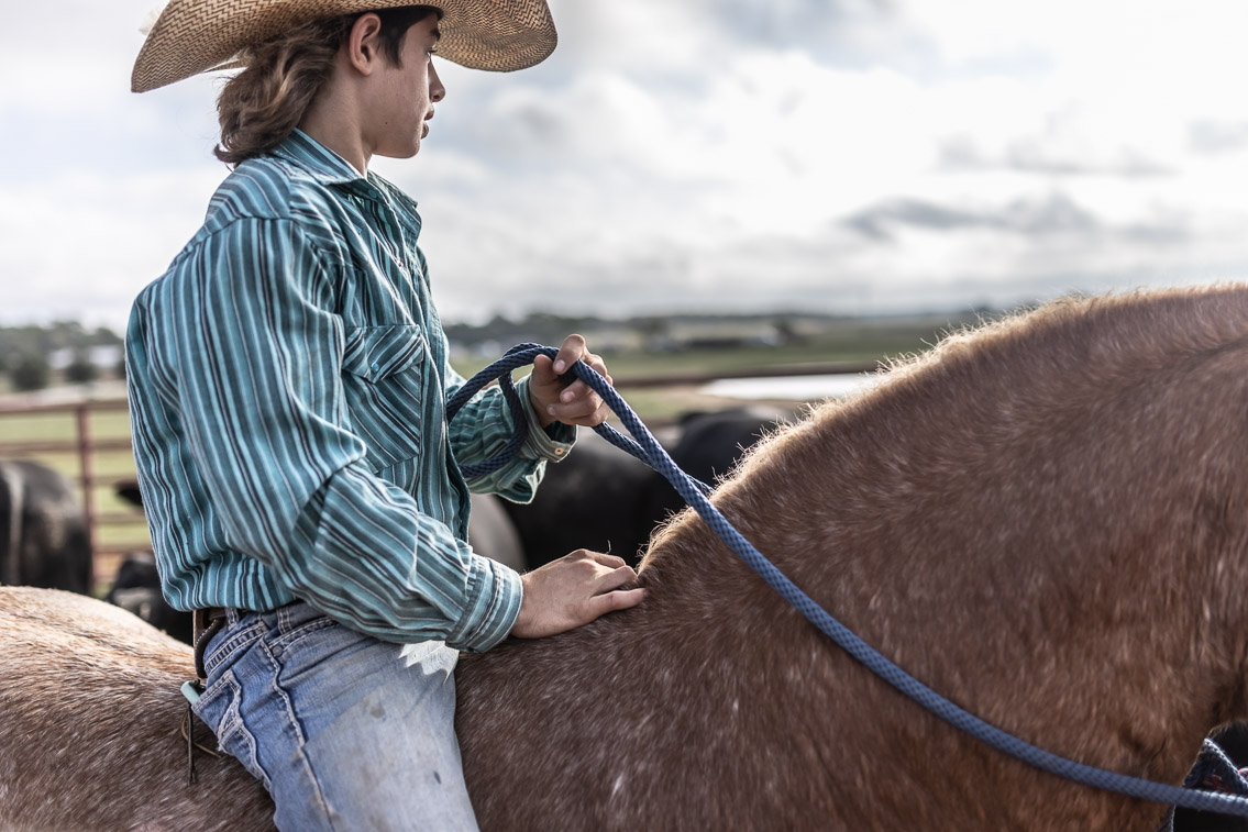 44Farms_Cameron_FallBullSale_Oct2021-525446