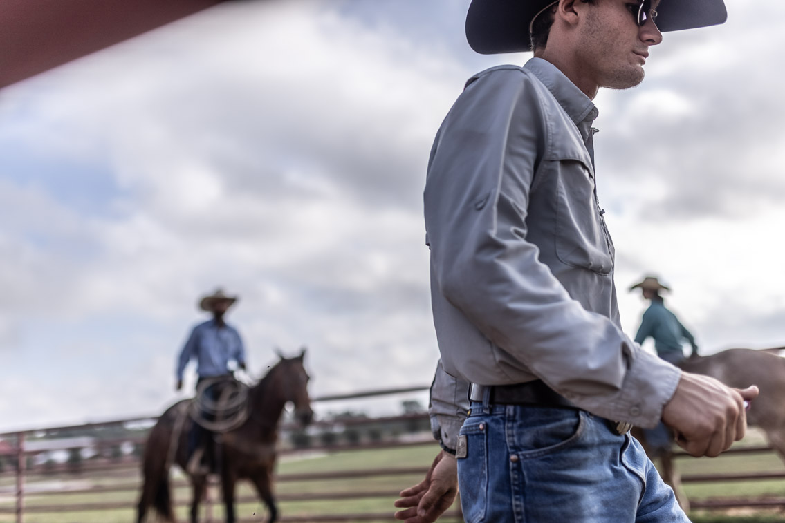44Farms_Cameron_FallBullSale_Oct2021-525548
