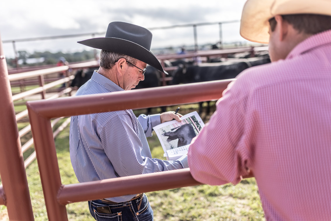 44Farms_Cameron_FallBullSale_Oct2021-525745
