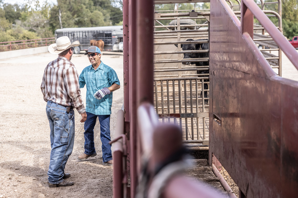 44Farms_Cameron_FallBullSale_Oct2021-526411