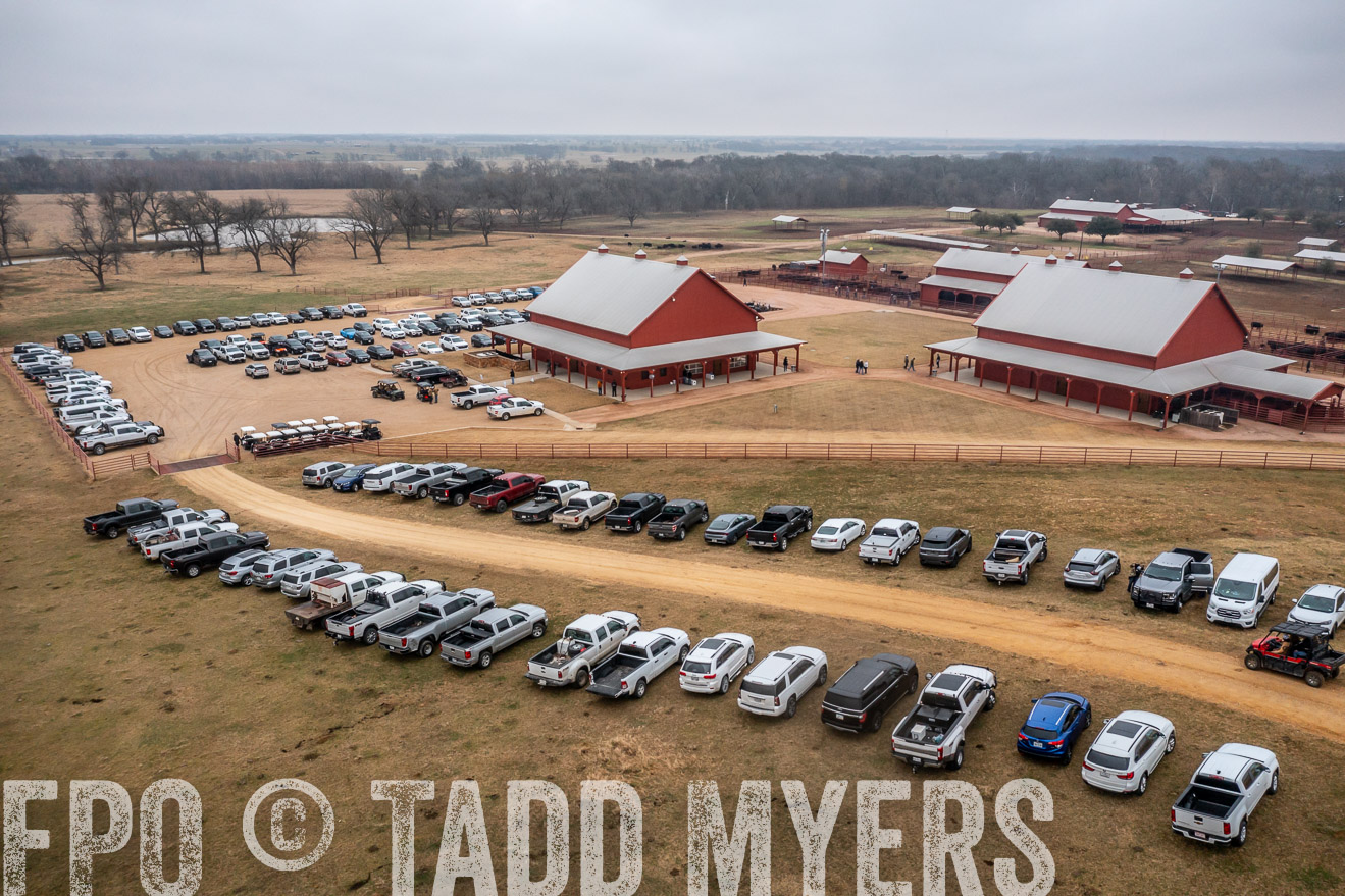 44Farms_Cameron_SpringBullSale_Feb2022-0423