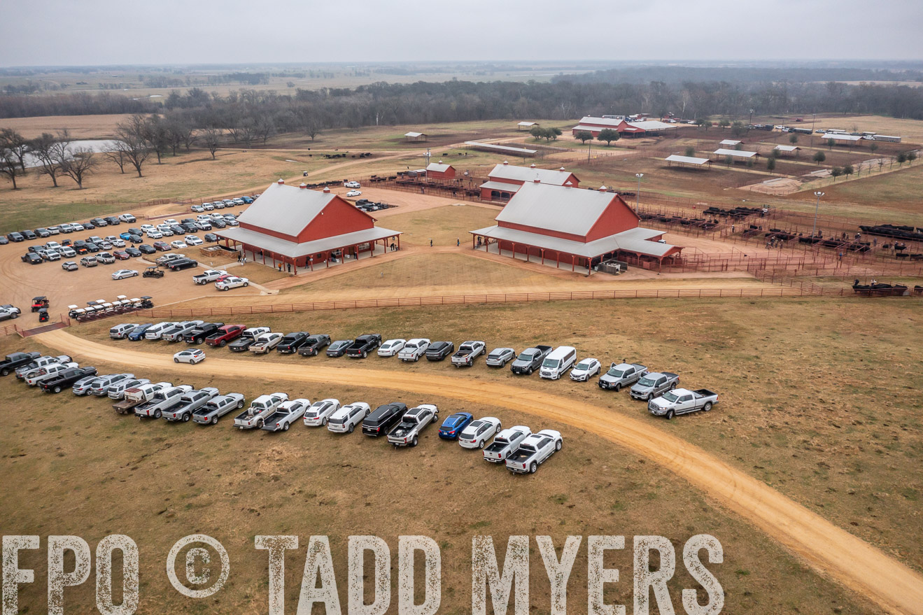 44Farms_Cameron_SpringBullSale_Feb2022-0433