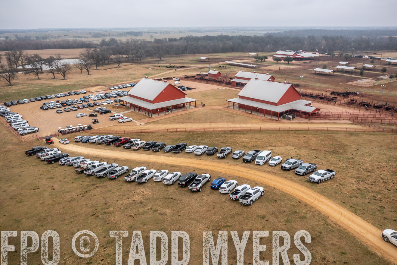 44Farms_Cameron_SpringBullSale_Feb2022-0436