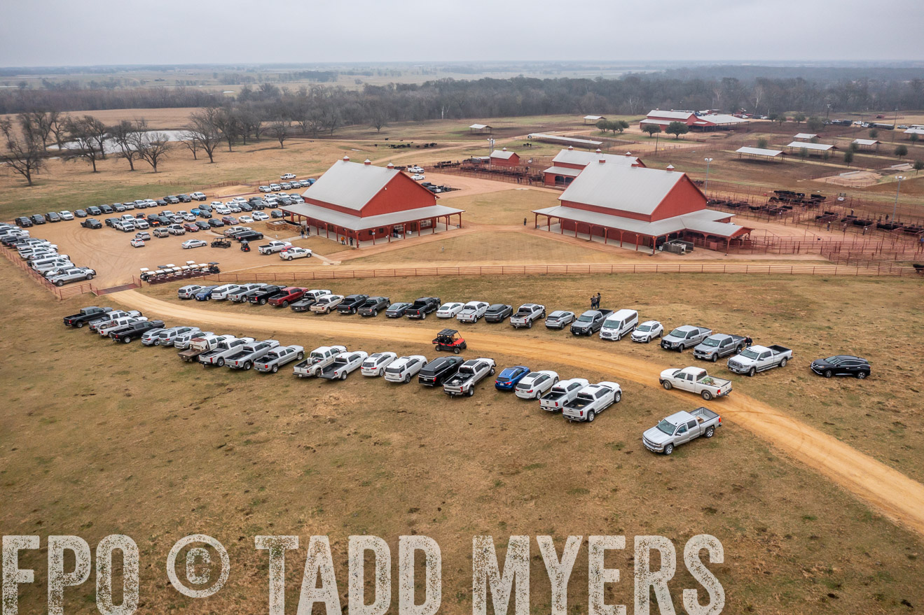 44Farms_Cameron_SpringBullSale_Feb2022-0442