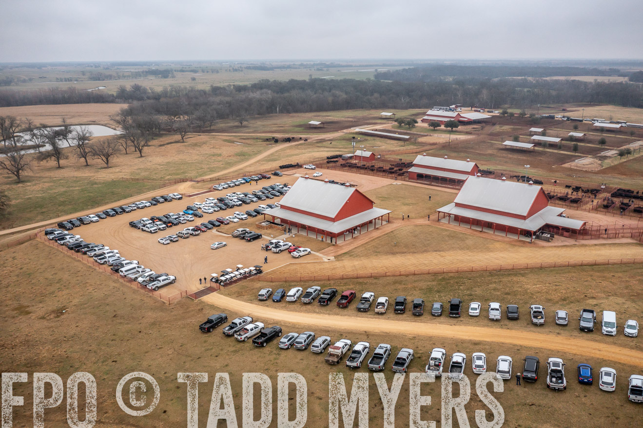 44Farms_Cameron_SpringBullSale_Feb2022-0460