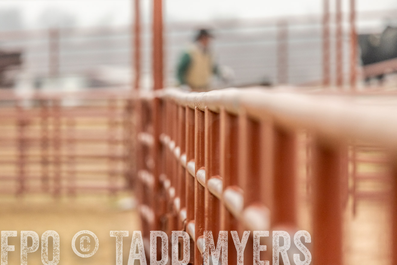 44Farms_Cameron_SpringBullSale_Feb2022-521299