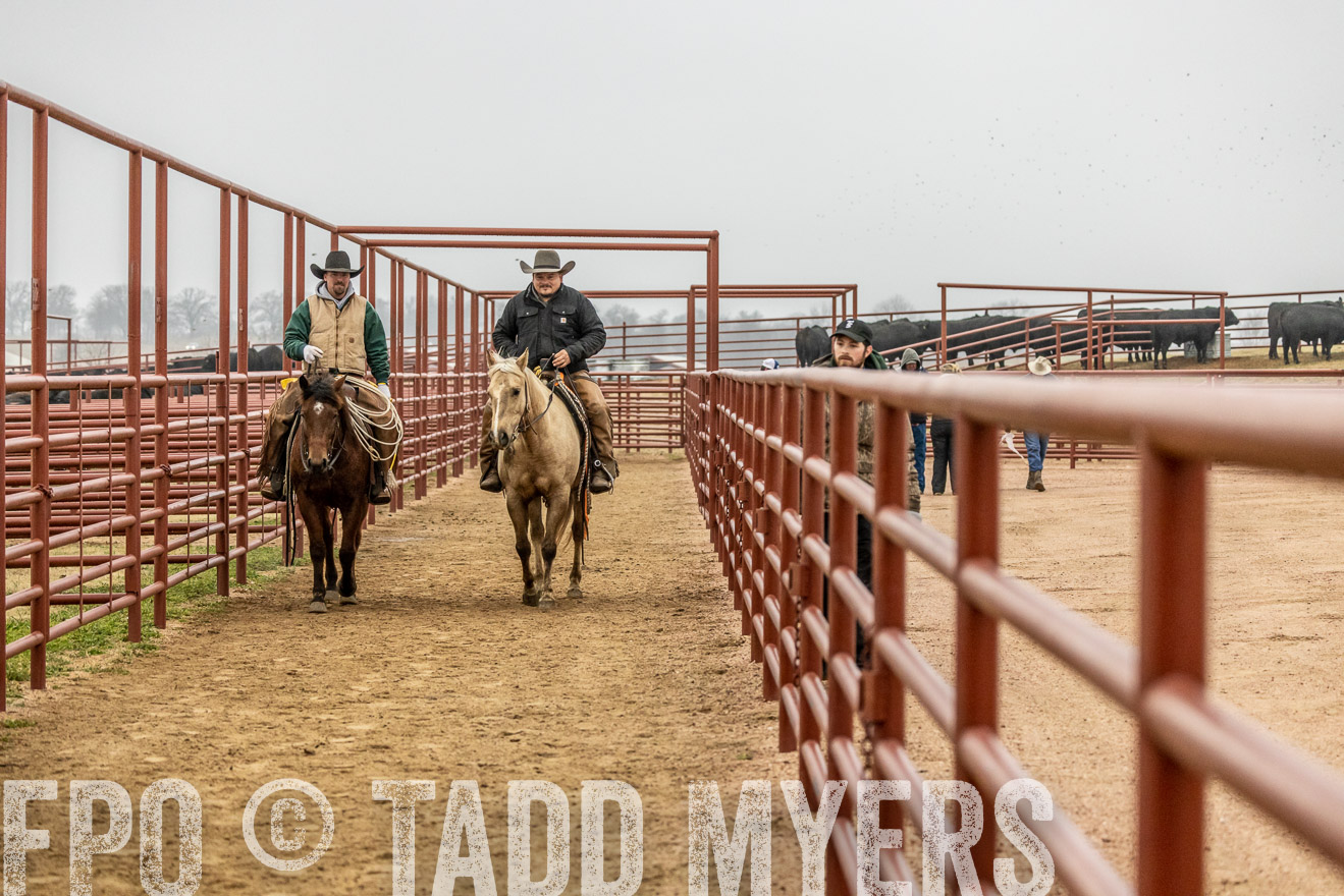 44Farms_Cameron_SpringBullSale_Feb2022-521316