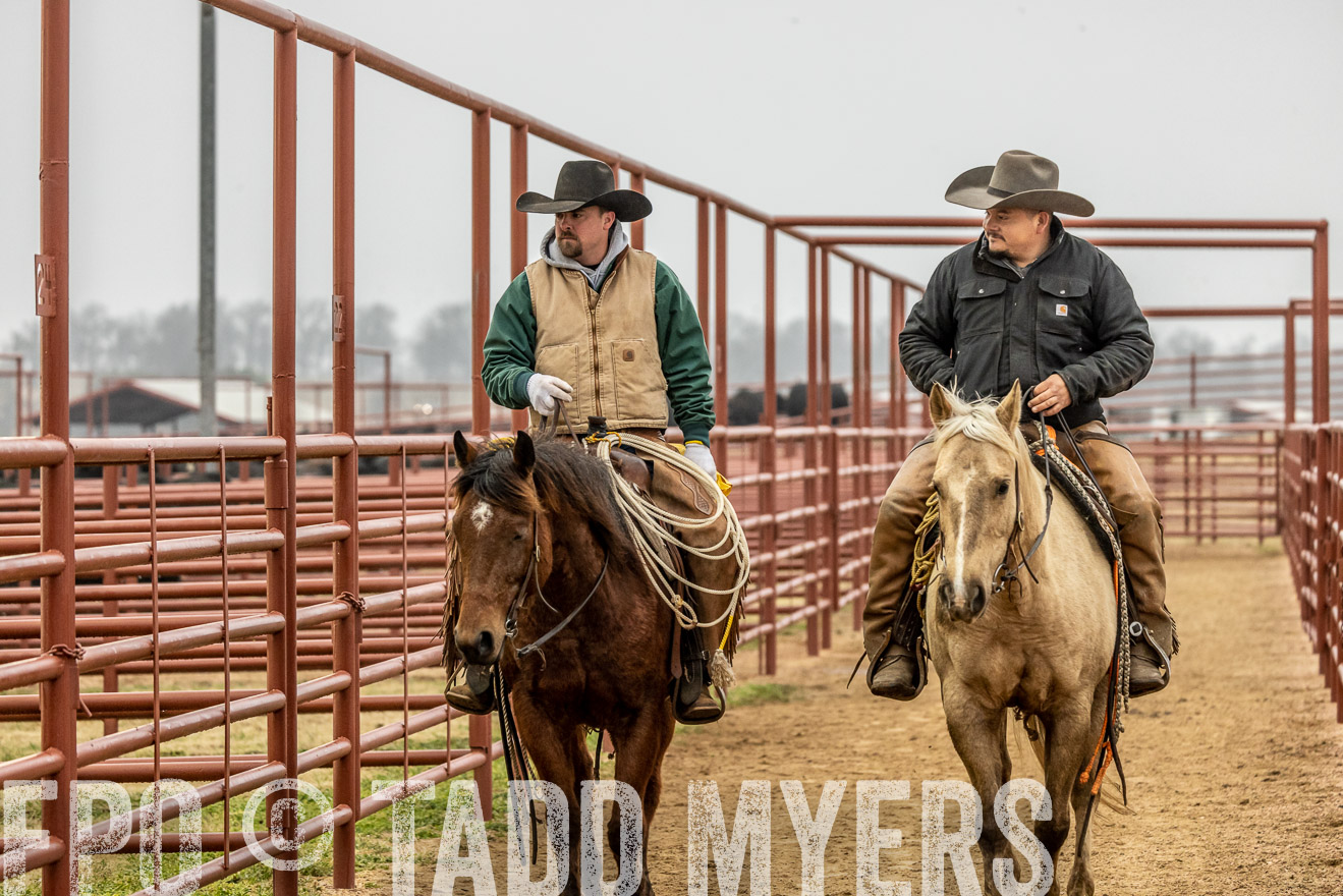 44Farms_Cameron_SpringBullSale_Feb2022-521321