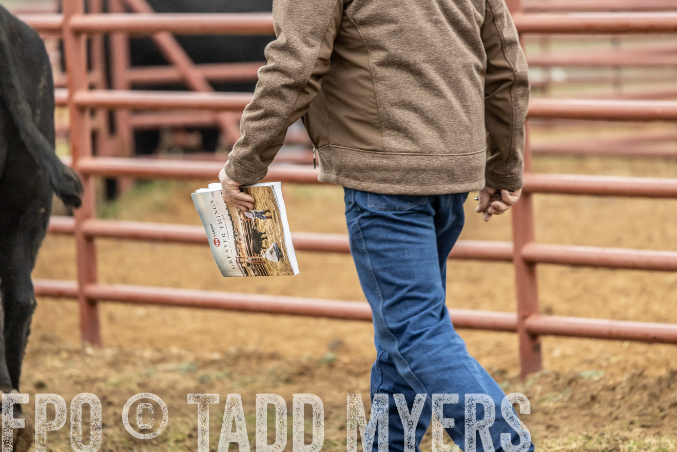 44Farms_Cameron_SpringBullSale_Feb2022-521368