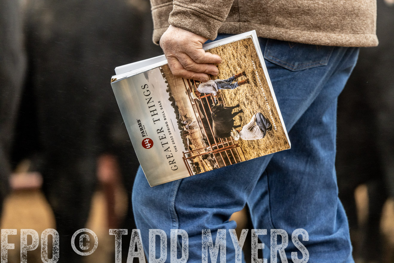 44Farms_Cameron_SpringBullSale_Feb2022-521387