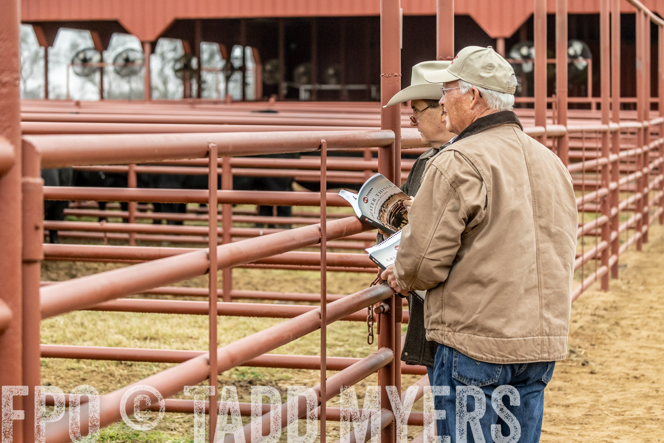 44Farms_Cameron_SpringBullSale_Feb2022-521396