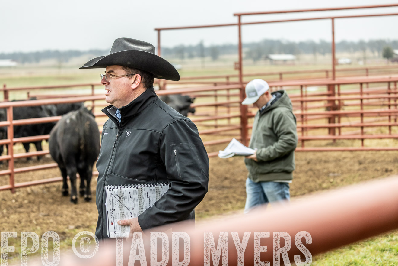 44Farms_Cameron_SpringBullSale_Feb2022-521407