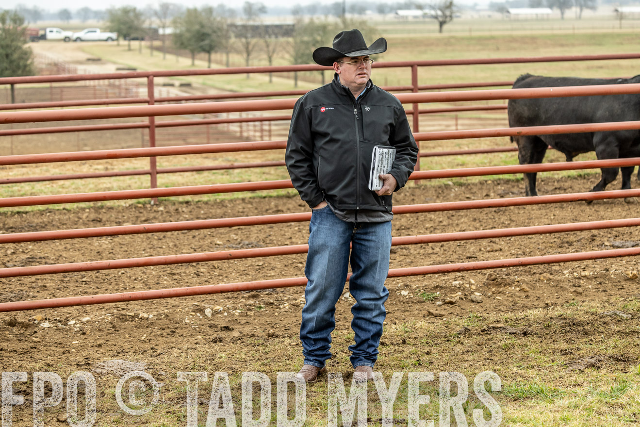 44Farms_Cameron_SpringBullSale_Feb2022-521412