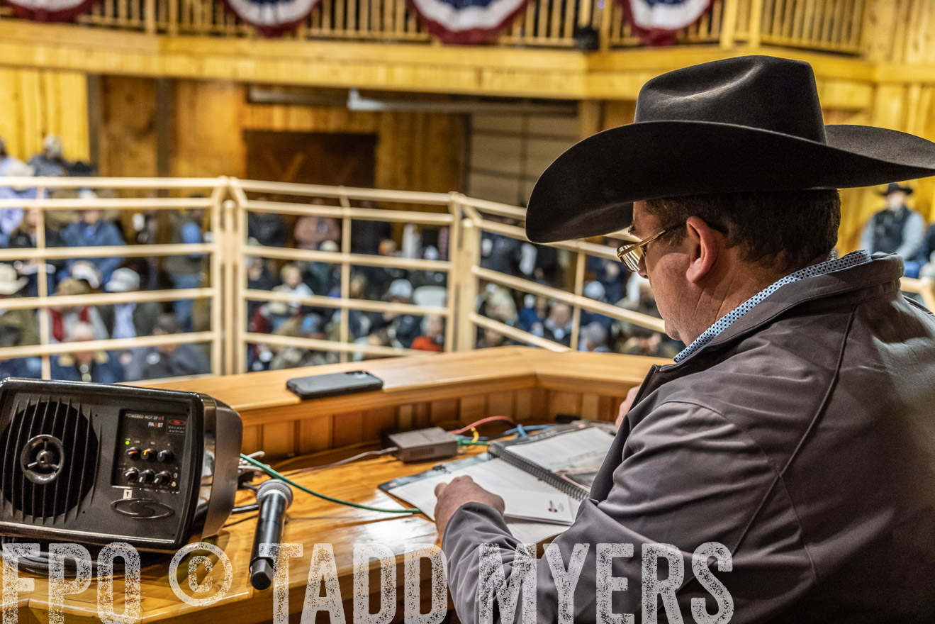 44Farms_Cameron_SpringBullSale_Feb2022-521437