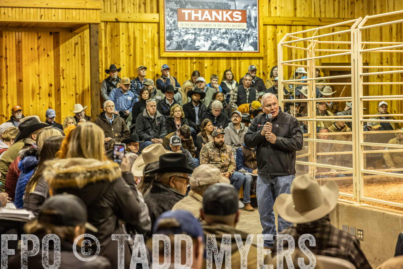 44Farms_Cameron_SpringBullSale_Feb2022-521519