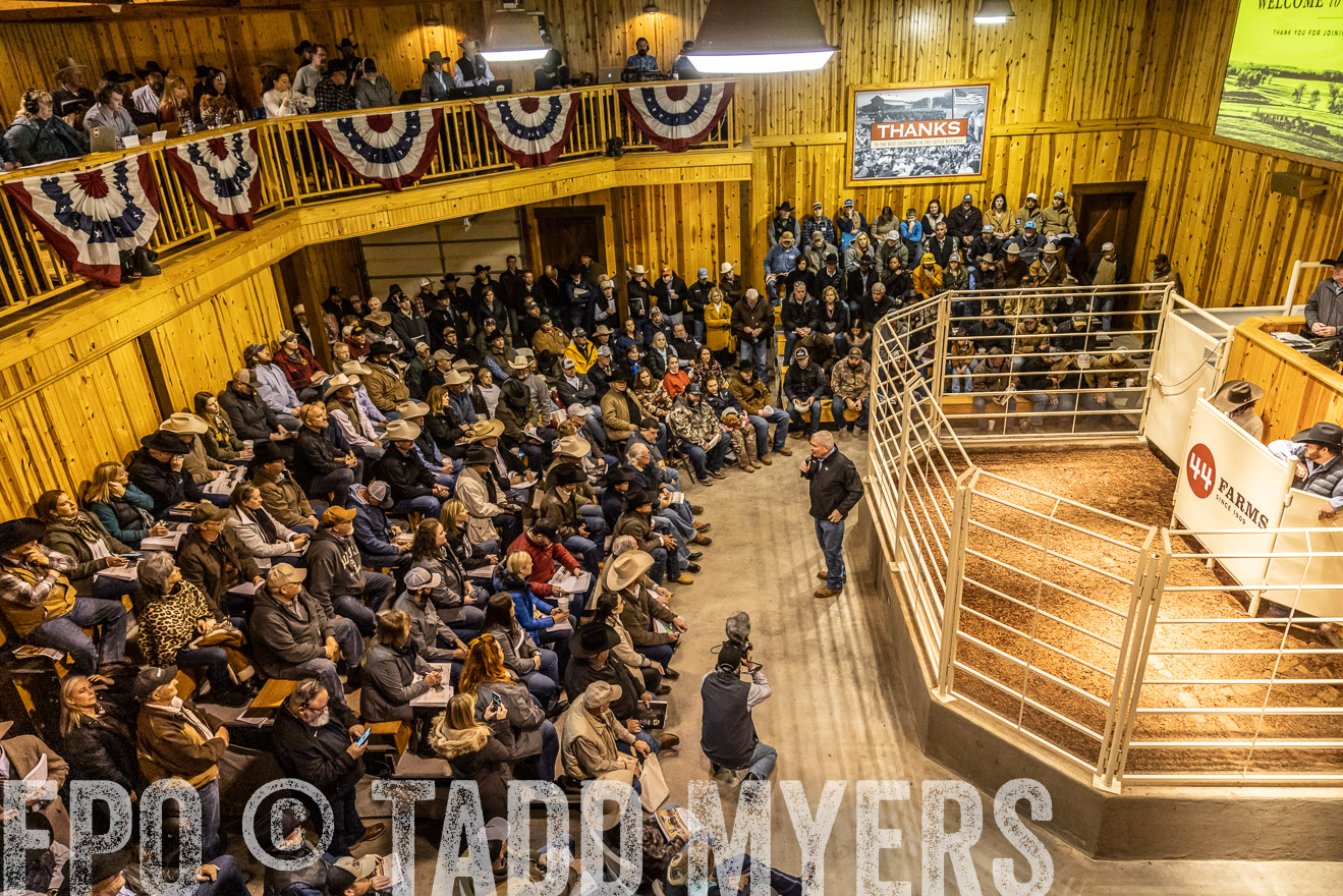 44Farms_Cameron_SpringBullSale_Feb2022-521524