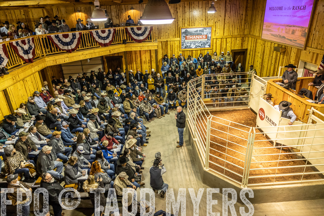 44Farms_Cameron_SpringBullSale_Feb2022-521529
