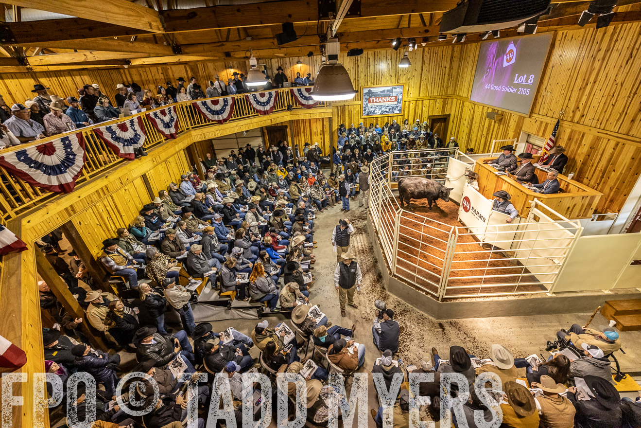 44Farms_Cameron_SpringBullSale_Feb2022-521562