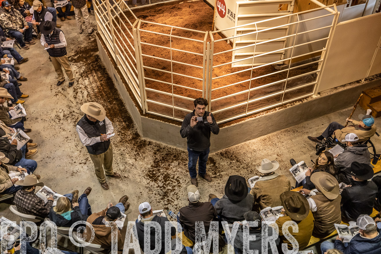 44Farms_Cameron_SpringBullSale_Feb2022-521687