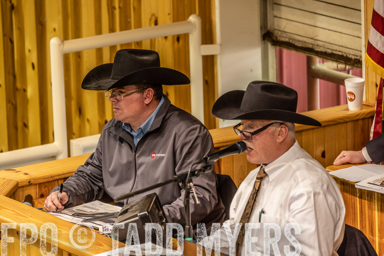 44Farms_Cameron_SpringBullSale_Feb2022-521697