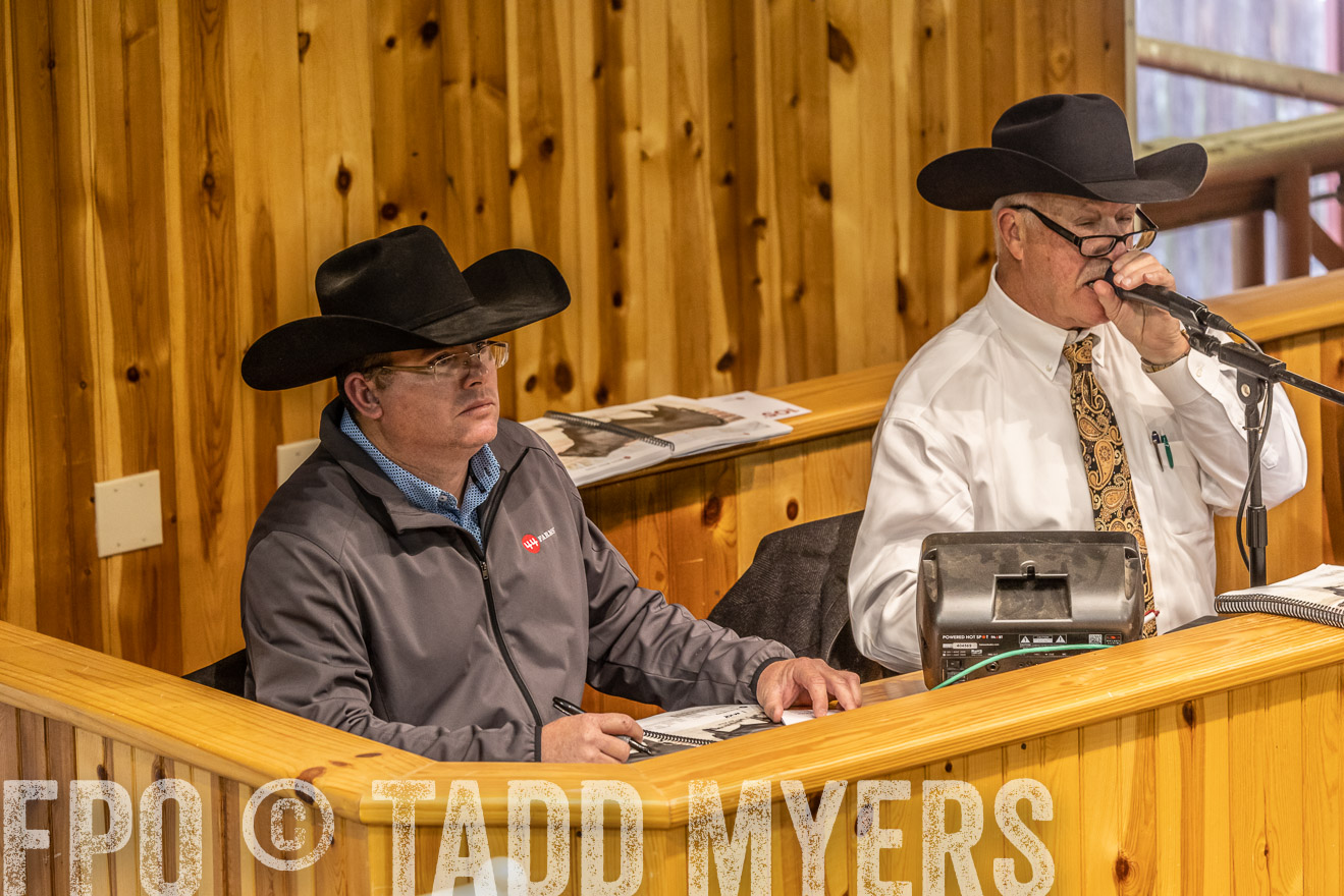 44Farms_Cameron_SpringBullSale_Feb2022-521715