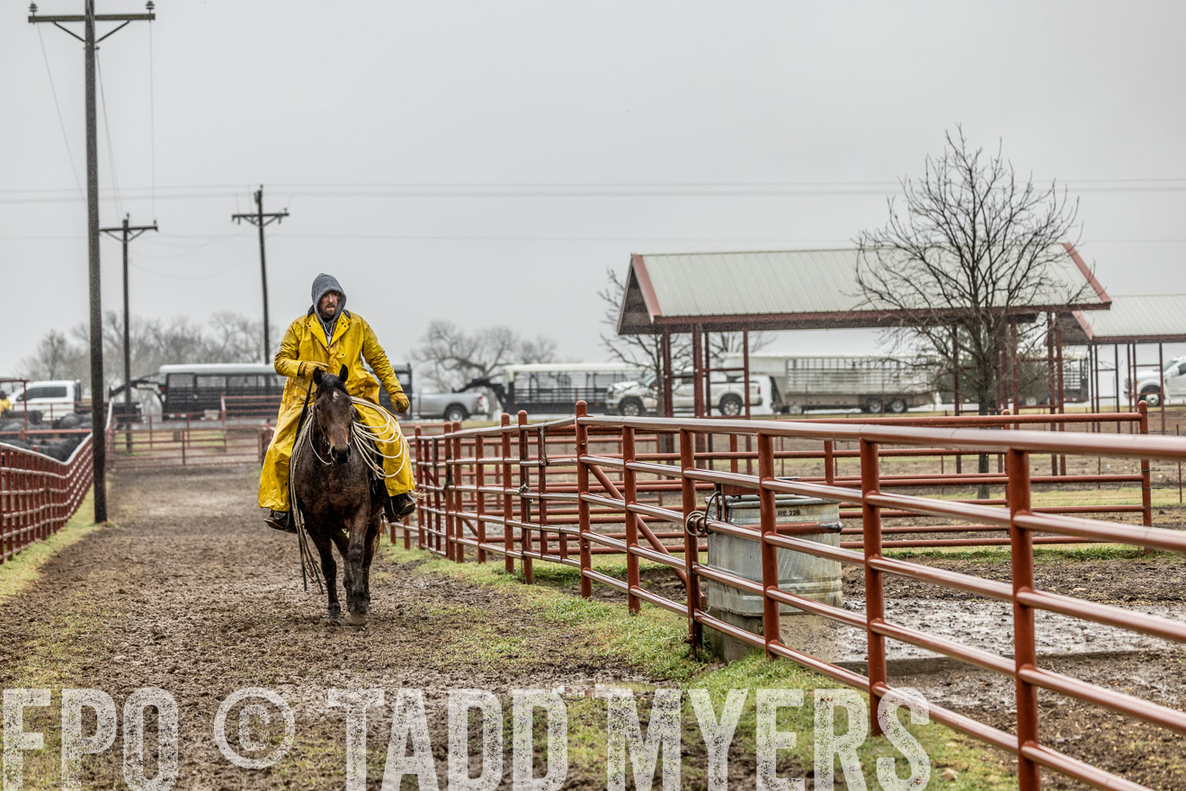 44Farms_Cameron_SpringBullSale_Feb2022-521889