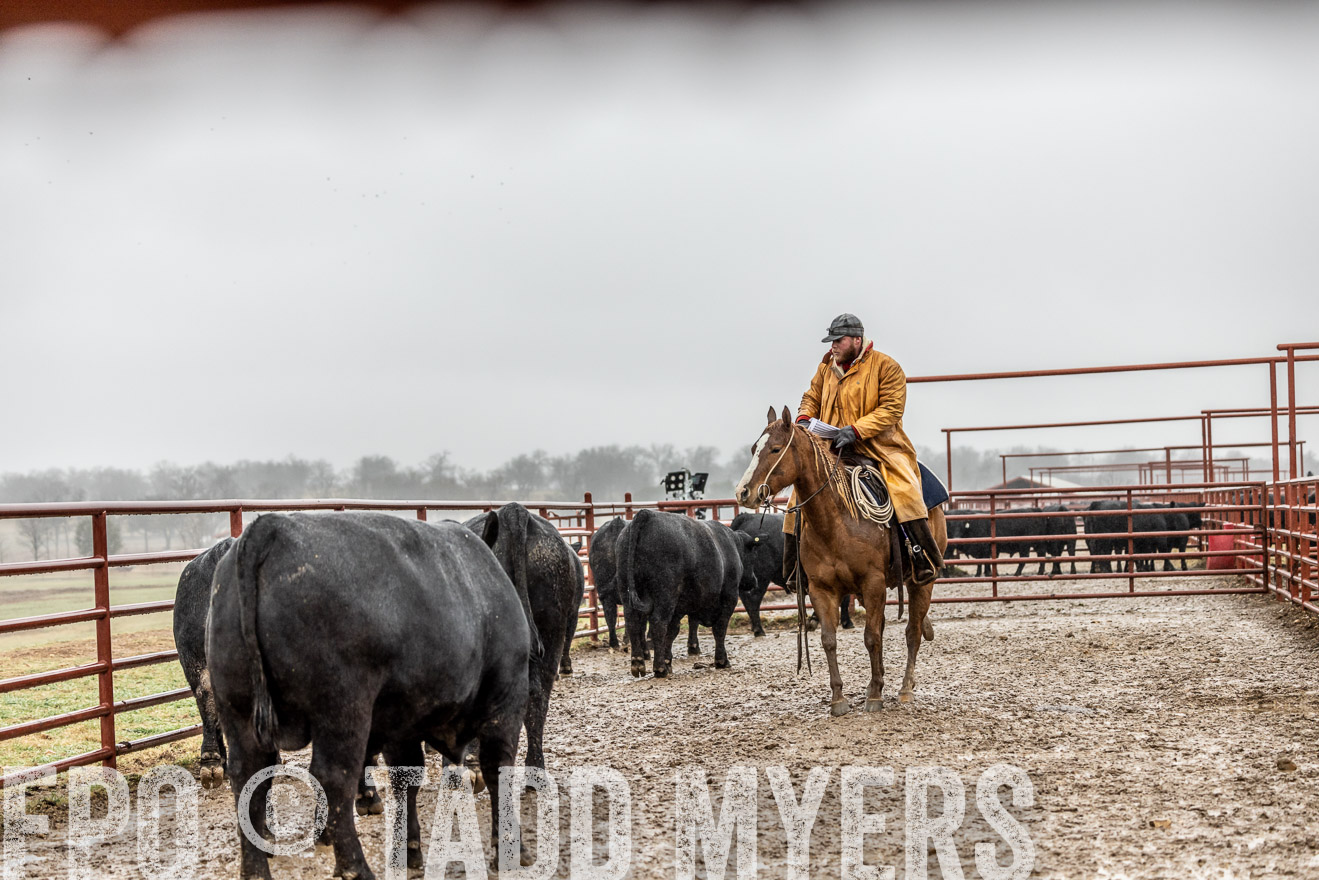 44Farms_Cameron_SpringBullSale_Feb2022-522303