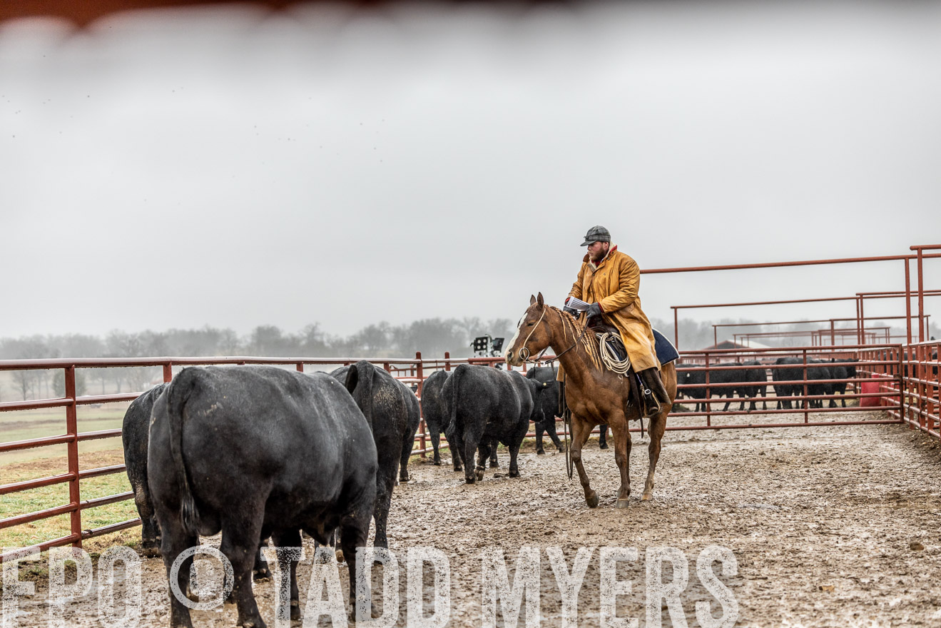 44Farms_Cameron_SpringBullSale_Feb2022-522304